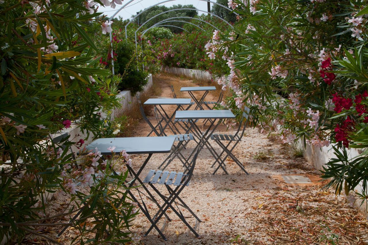 Fikus - The Apulian B&B Ceglie Messapica Luaran gambar